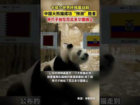 足协杯半决,赛战报,上海海港,新葡京,新葡京app,新葡京娱乐,新普京赌场