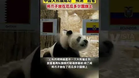 足协杯半决赛战报：上海海港3-2逆转上海申花，精彩瞬间回顾